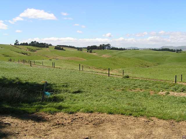 NZ leden-unor 2006 117.jpg